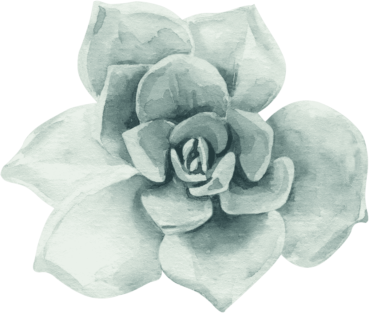Rose Blue